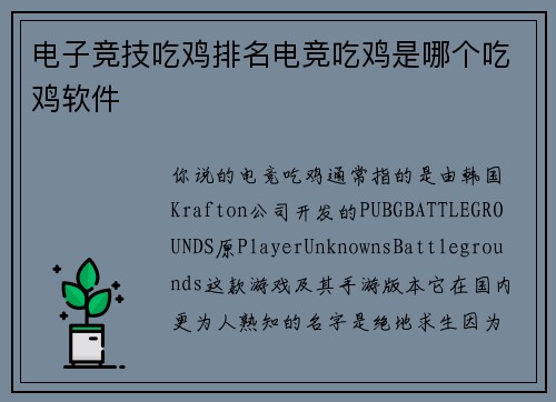 电子竞技吃鸡排名电竞吃鸡是哪个吃鸡软件